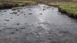 scotland highlands walking river crossing